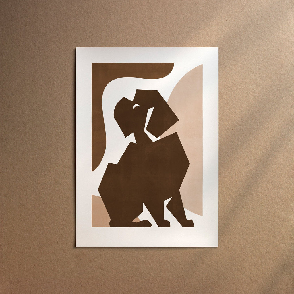 Havanese  [Form-Chocolate]