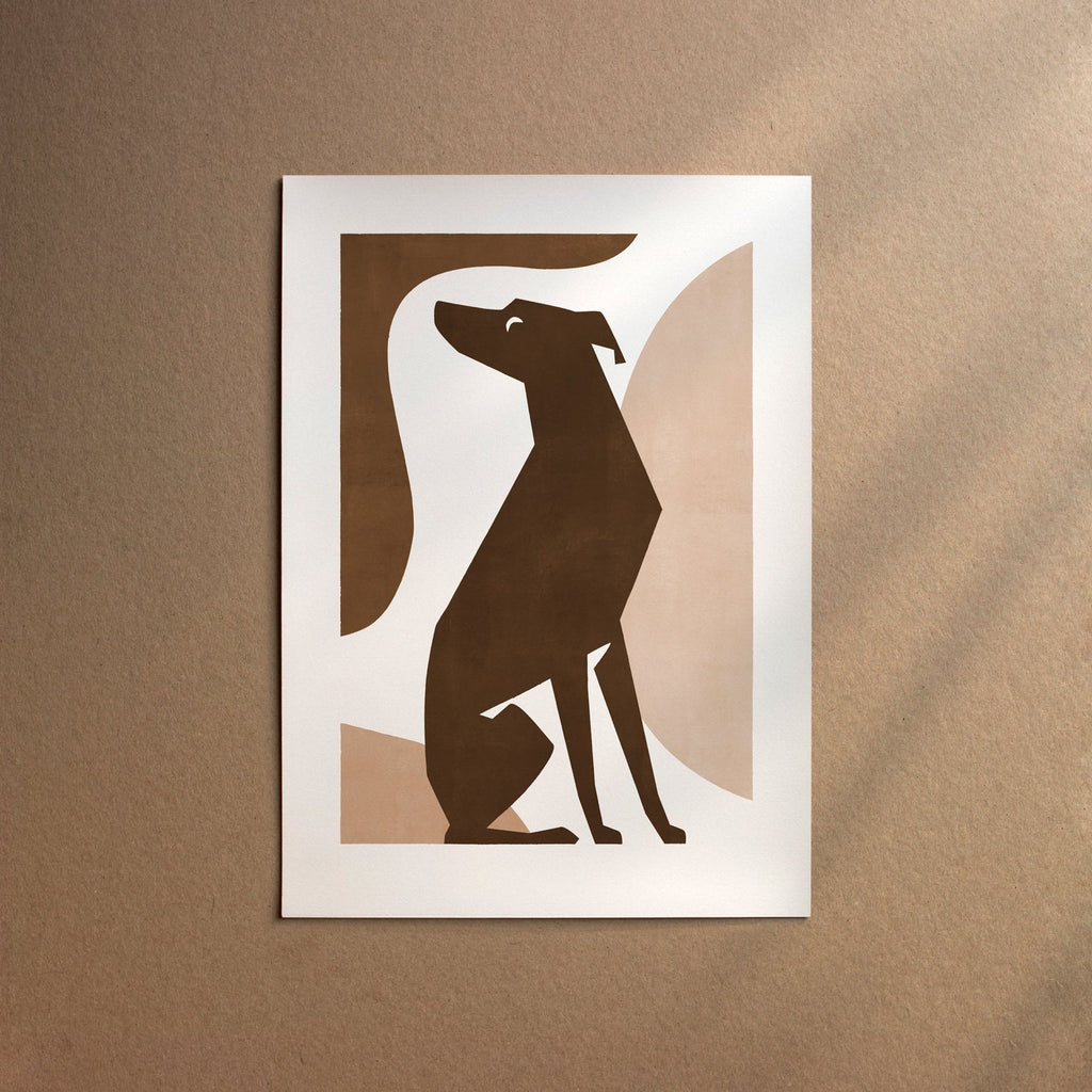 Italian Greyhound  [Form-Chocolate]