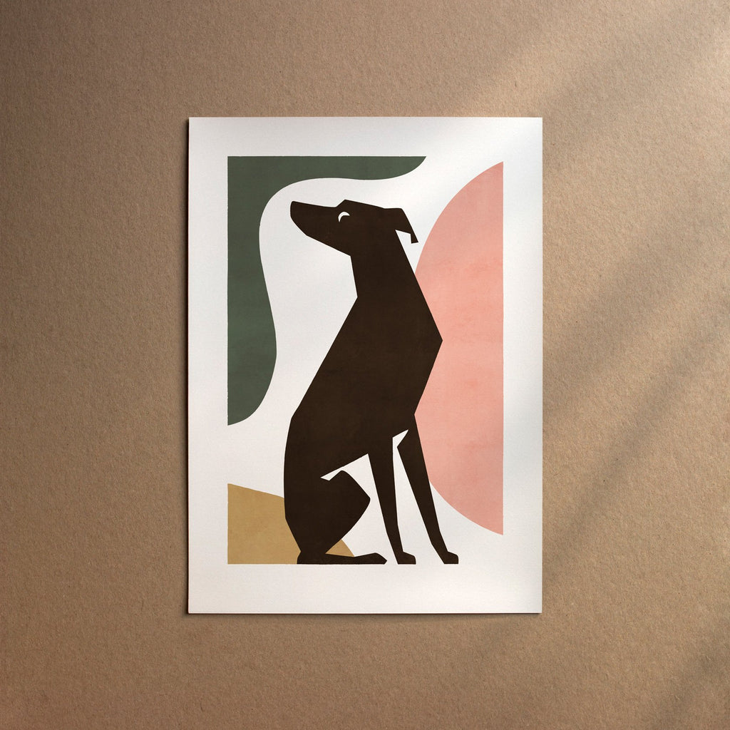 Italian Greyhound  [Form-Flora]