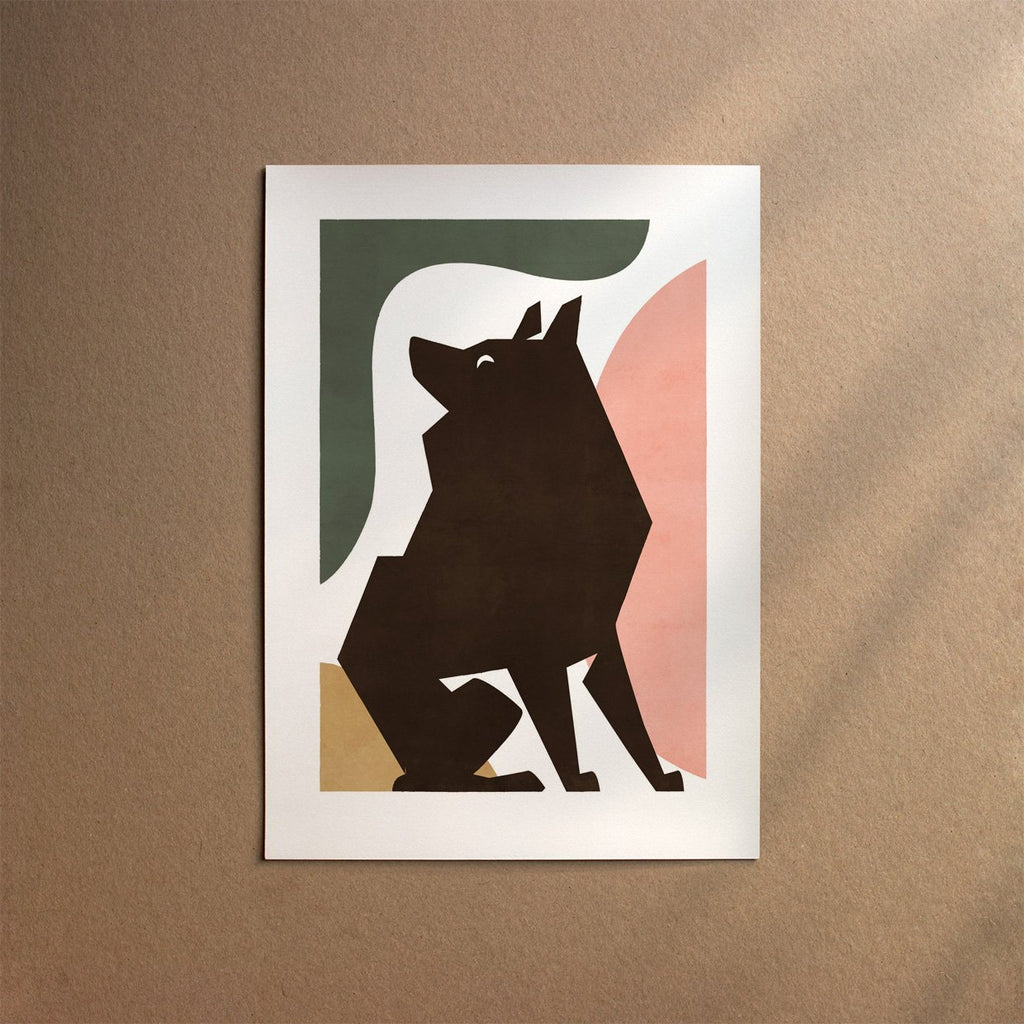 Schipperke  [Form-Flora]