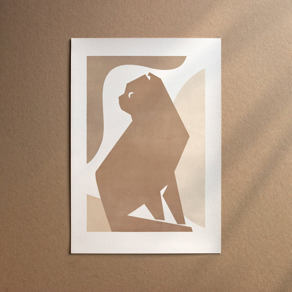 Scottish Fold Shorthair  [Form-Cream]